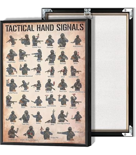 Amazon.com: U.S. Army Rank Wall Hanging - E-8 (1SG) Raised Stripes